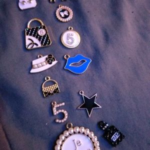 12 Mixed Charms